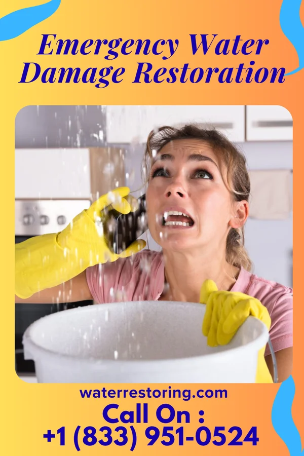 Emergency Water Damage Restoration in New Grand Chain, IL