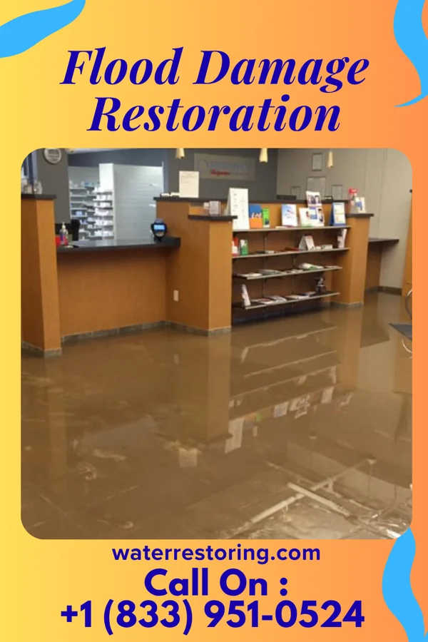 Flood Damage Restoration in New Grand Chain, IL