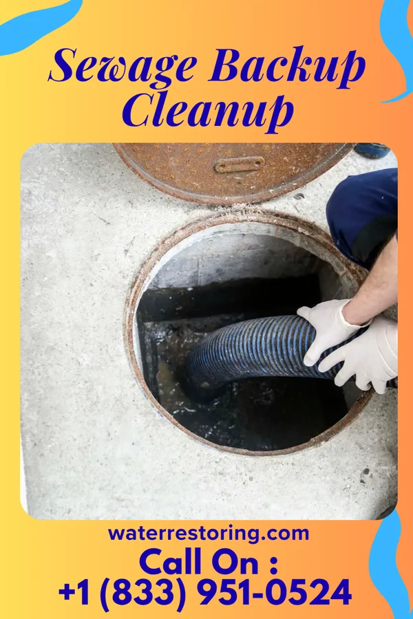 Sewage Backup Cleanup in New Grand Chain, IL
