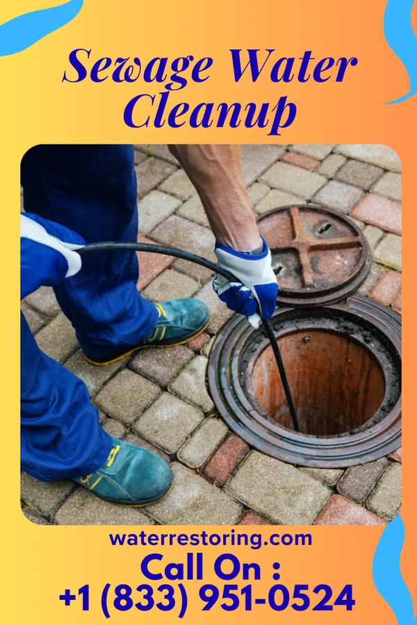 Sewage Water Cleanup in New Grand Chain, IL