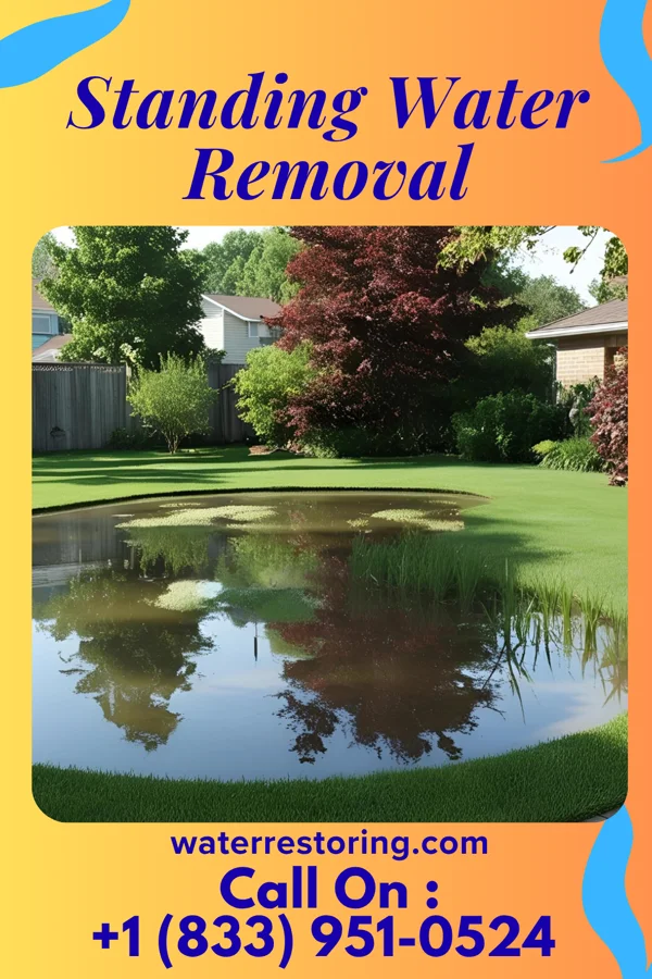 Standing Water Removal in New Grand Chain, IL
